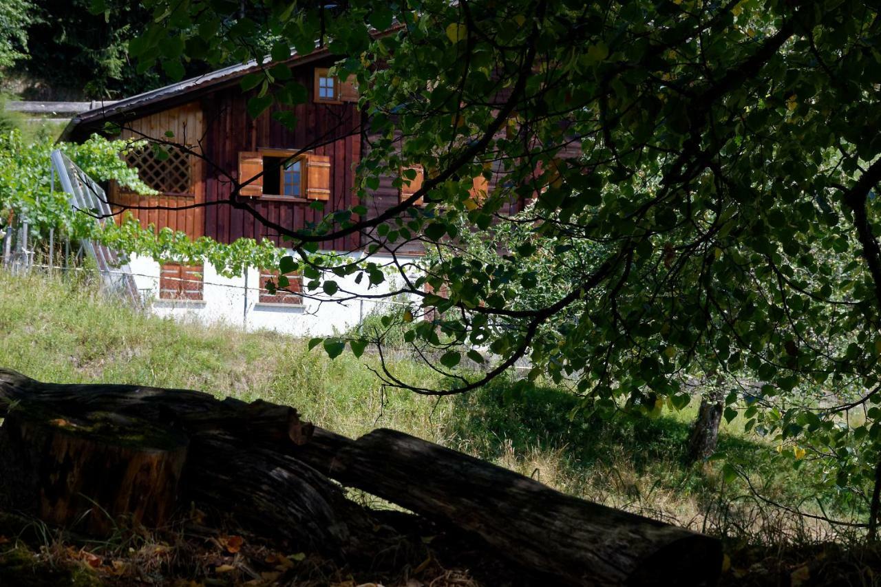 Landhaus Tenne Bartholomäberg Zewnętrze zdjęcie