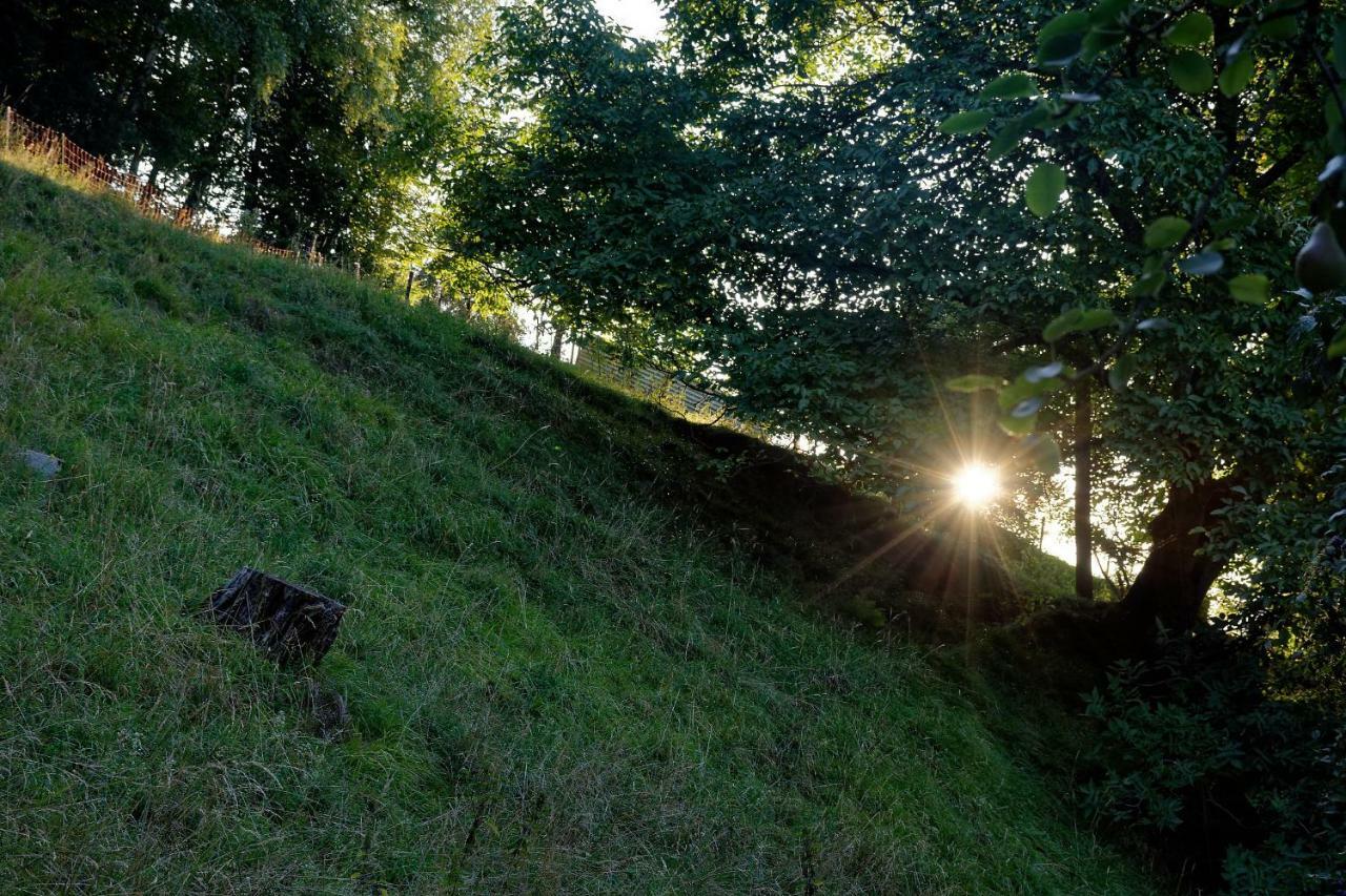 Landhaus Tenne Bartholomäberg Zewnętrze zdjęcie