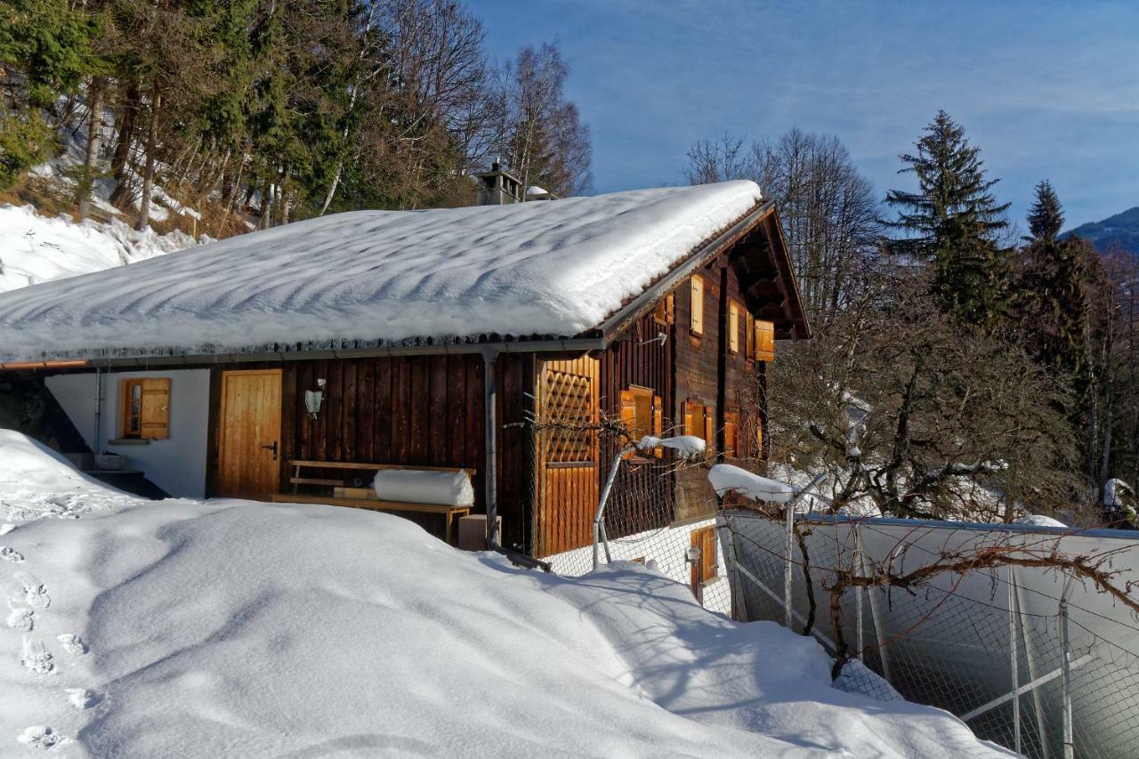 Landhaus Tenne Bartholomäberg Zewnętrze zdjęcie